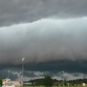 Meet your Posher, Caitlin